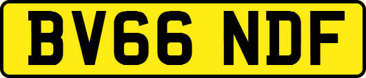 BV66NDF