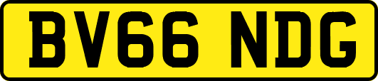 BV66NDG