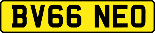 BV66NEO