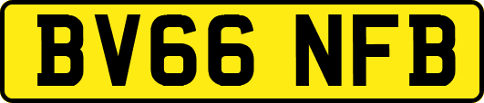 BV66NFB