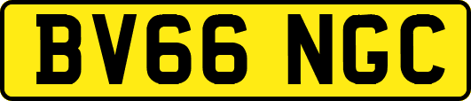 BV66NGC