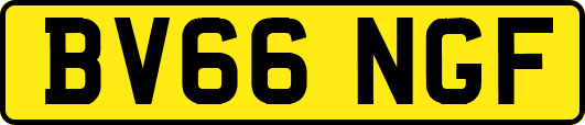 BV66NGF