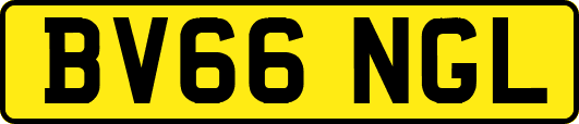 BV66NGL