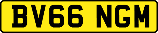 BV66NGM