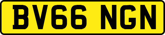 BV66NGN