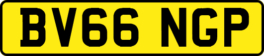 BV66NGP