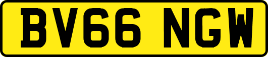 BV66NGW