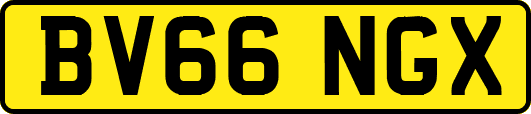 BV66NGX