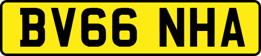 BV66NHA