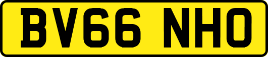 BV66NHO