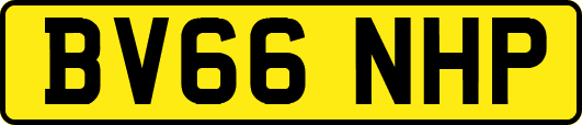 BV66NHP