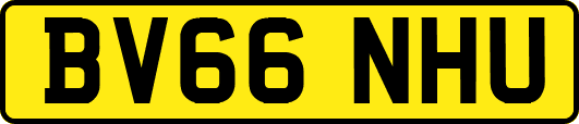 BV66NHU