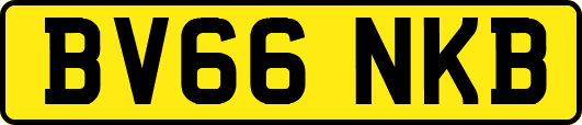 BV66NKB