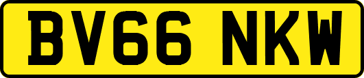 BV66NKW