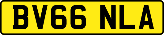 BV66NLA