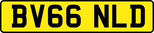 BV66NLD