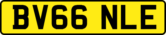 BV66NLE