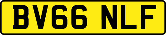 BV66NLF