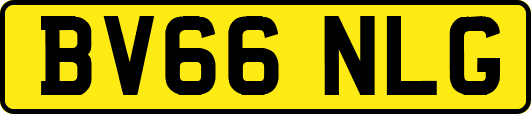 BV66NLG