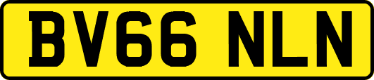 BV66NLN