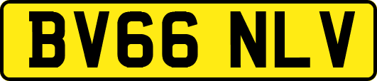 BV66NLV