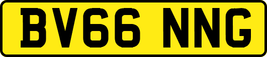 BV66NNG