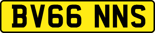 BV66NNS