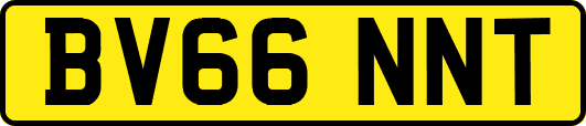 BV66NNT