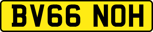 BV66NOH