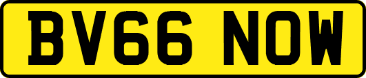 BV66NOW