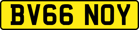 BV66NOY