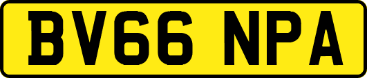 BV66NPA