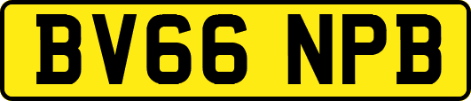 BV66NPB