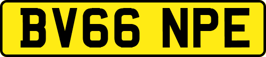 BV66NPE