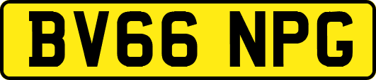 BV66NPG