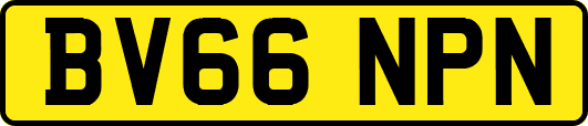 BV66NPN