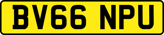 BV66NPU