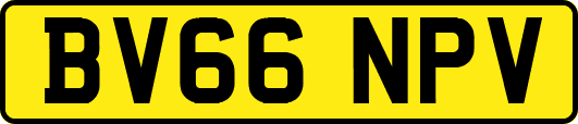 BV66NPV