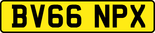 BV66NPX