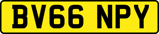 BV66NPY