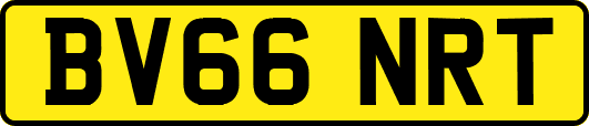 BV66NRT