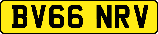 BV66NRV