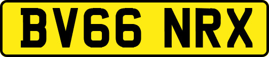 BV66NRX