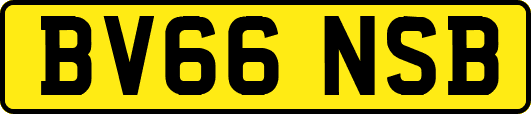 BV66NSB