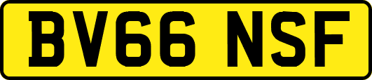 BV66NSF