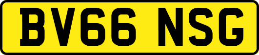 BV66NSG