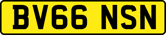 BV66NSN