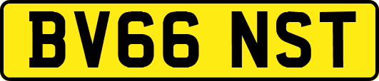 BV66NST