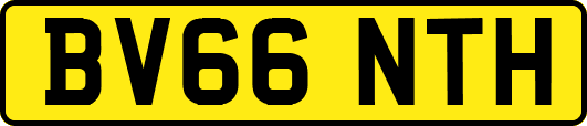 BV66NTH