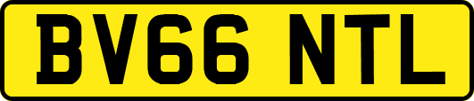 BV66NTL